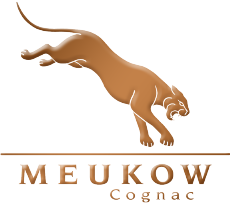 logo-meukow